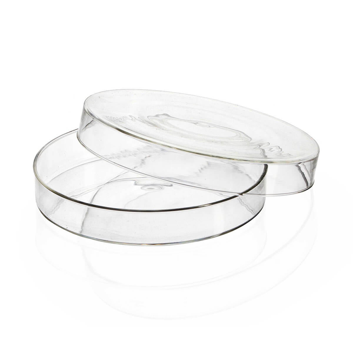 Glass Petri Dish, 80 x 20 mm | Azer Scientific